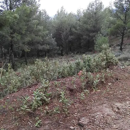 מלון Castillo 3*
