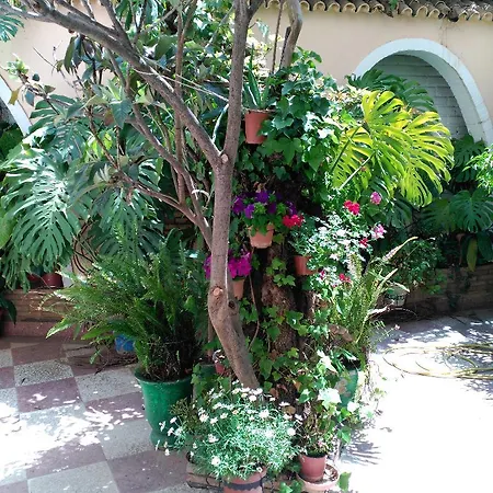 Hotel Castillo Lanjaron